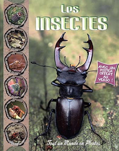 Les insectes