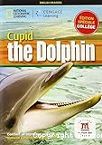 Cupid the dolphin