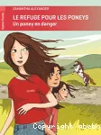 Le refuge pour les poneys - un poney en