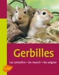 Gerbilles