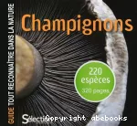 Champignons