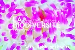 La biodiversité