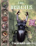 Les insectes