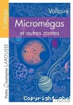 Micromégas