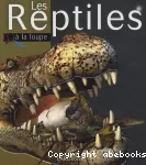 Les reptiles